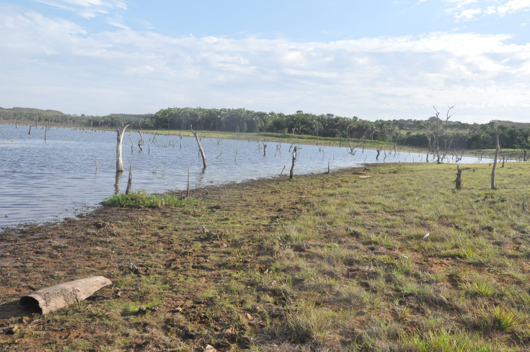 Área na beira do lago do Manso