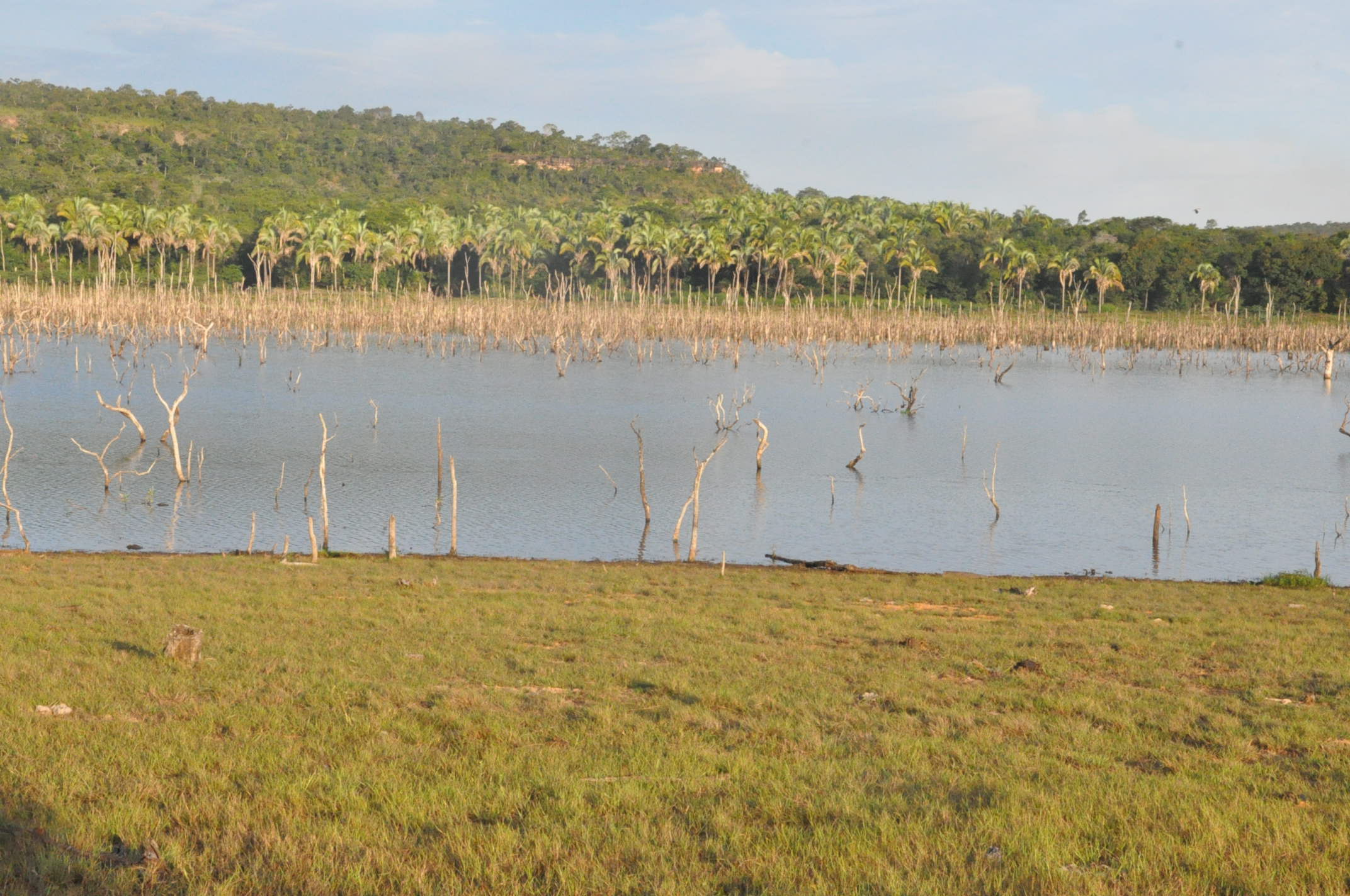 Área na beira do lago do Manso