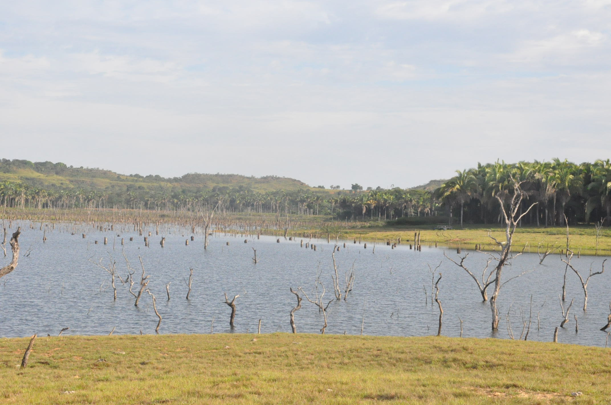 Área na beira do lago do Manso