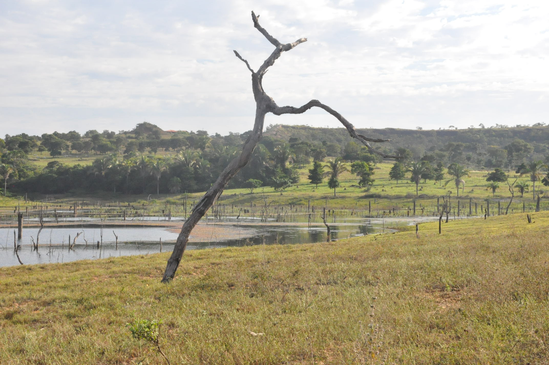 Área na beira do lago do Manso